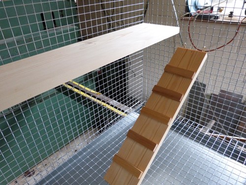 Wooden ramp ladder chinchilla - ramp/ladder,