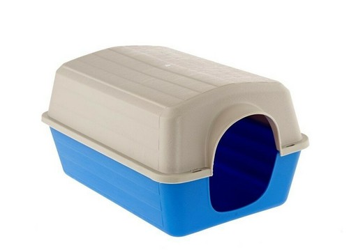 Guinea pig chinchilla plastic - pig,