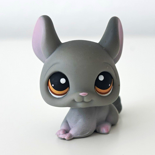 Lps chinchilla grey pet - chinchilla,