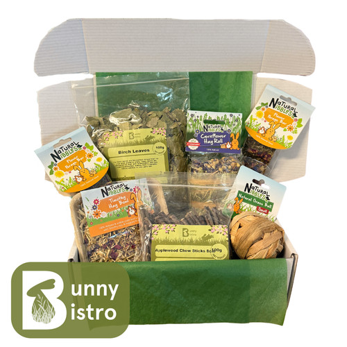 Rabbit treat box small - rabbit, box,