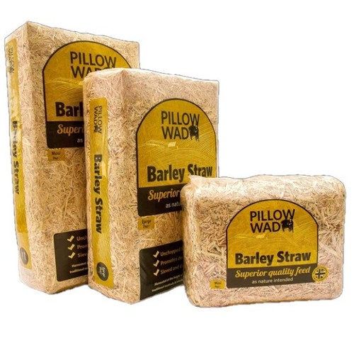 Pillow wad barley straw - pillow,