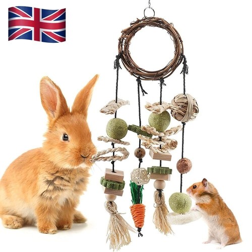 Rabbit treats rabbits cage - rabbits,