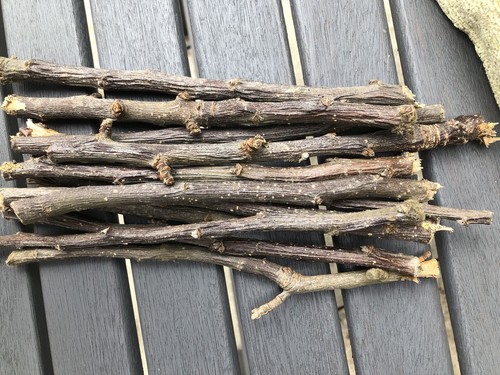 Apple chew sticks 100 natural - sticks, 100%