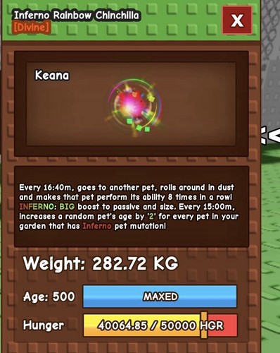 Inferno rainbow chinchilla - inferno,