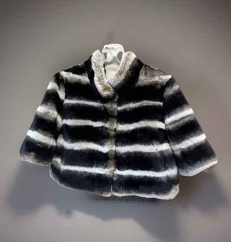 Chinchilla style real rex - chinchilla,