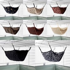 Ferret Chinchilla Rat Rabbit