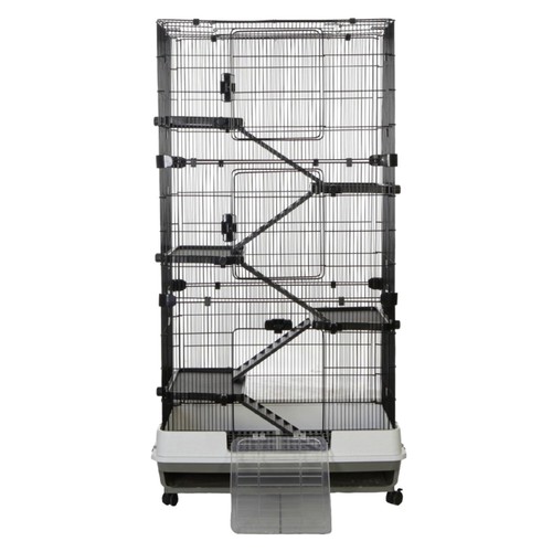 Rat ferret chinchilla pet - chinchilla, cage