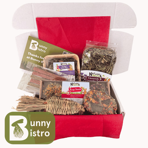 Rabbit treat box - treat, animal
