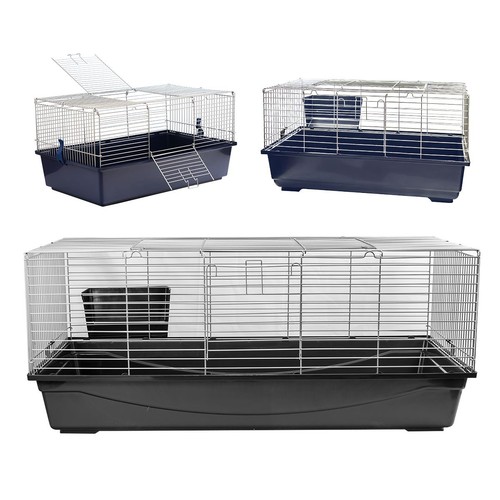 Single level indoor - indoor, rabbit