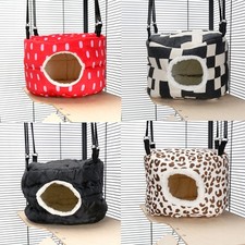 Ferret Chinchilla Rat Rabbit