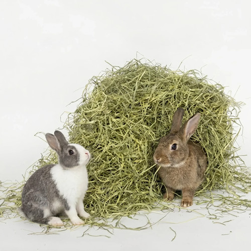 Timothy hay for - rabbits, &