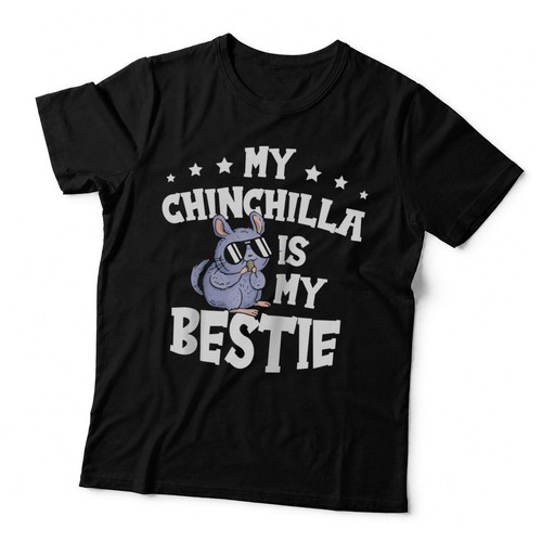 Chinchilla my bestie - my,