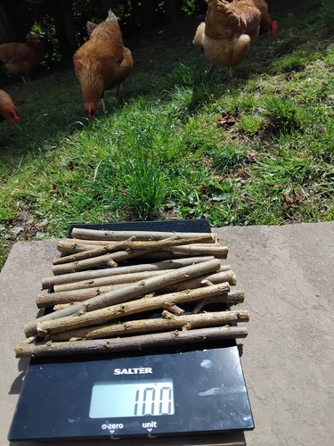 Organic white willow - organic, sticks