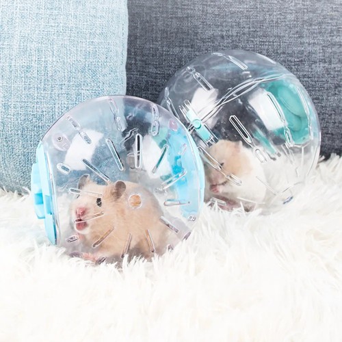 Small pet hamster exercise - small,