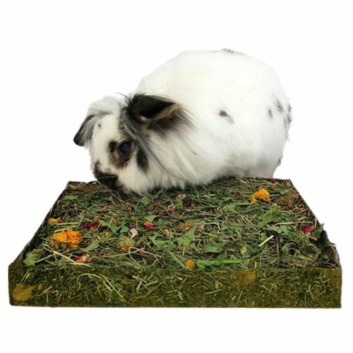 Rosewood nibble dig small - nibble, 'n'